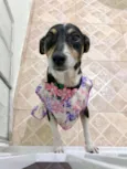 LUNA
