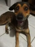 Caramelo