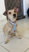 Mutley