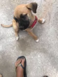 Não tem