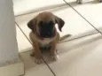 Não tem