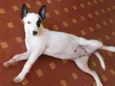 Frida
