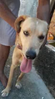Tobby