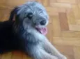 Não sei