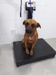 Doritos
