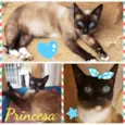 PRINCESA
