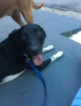 Jack