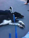 Jack