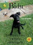 Bidu