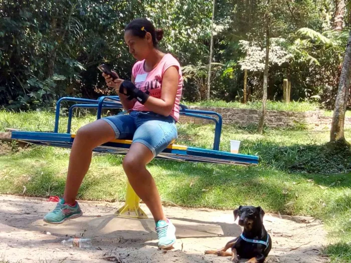 Cachorro ra a Pinscher idade 3 anos nome Piti