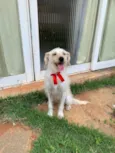 Tina 