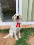 Tina 