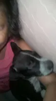 ADOTE