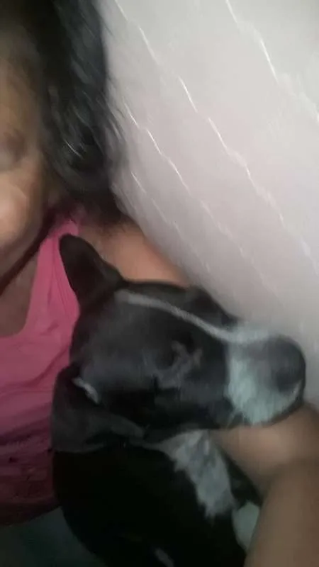 Cachorro ra a Não Definida idade 7 a 11 meses nome ADOTE