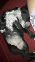 ADOTE