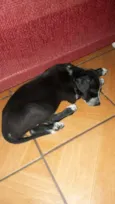 ADOTE