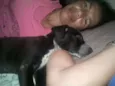 ADOTE