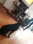 ADOTE