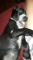 ADOTE