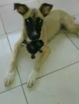 Belinha