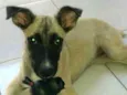Belinha