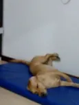 Fiona