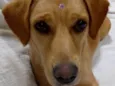 Fiona
