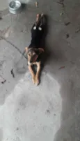 Lilly