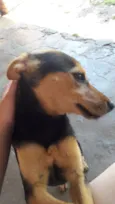 Lilly