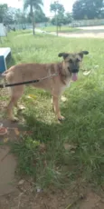 Argos