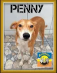 PENNY