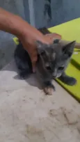 Tina