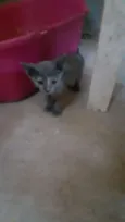 Tina