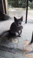 Tina