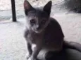 Tina