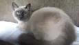 Lucy