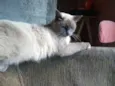 Lucy