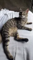 Mia