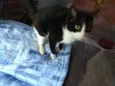 Nina