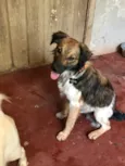 Huguinho