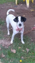 Dama