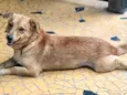 Sebastian