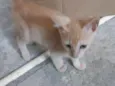 Théo