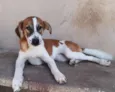 Billy