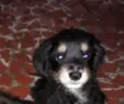 FOFO