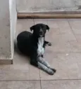 Bebe