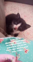 Não tem