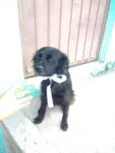 Pérola