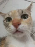 Nao tem 