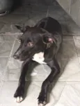 Não tem 